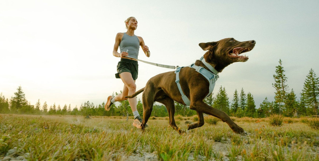 Gear for Every Moment: Explore Our New Spring/Summer ’26 Collections