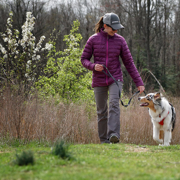 How to Train an Adventure Puppy