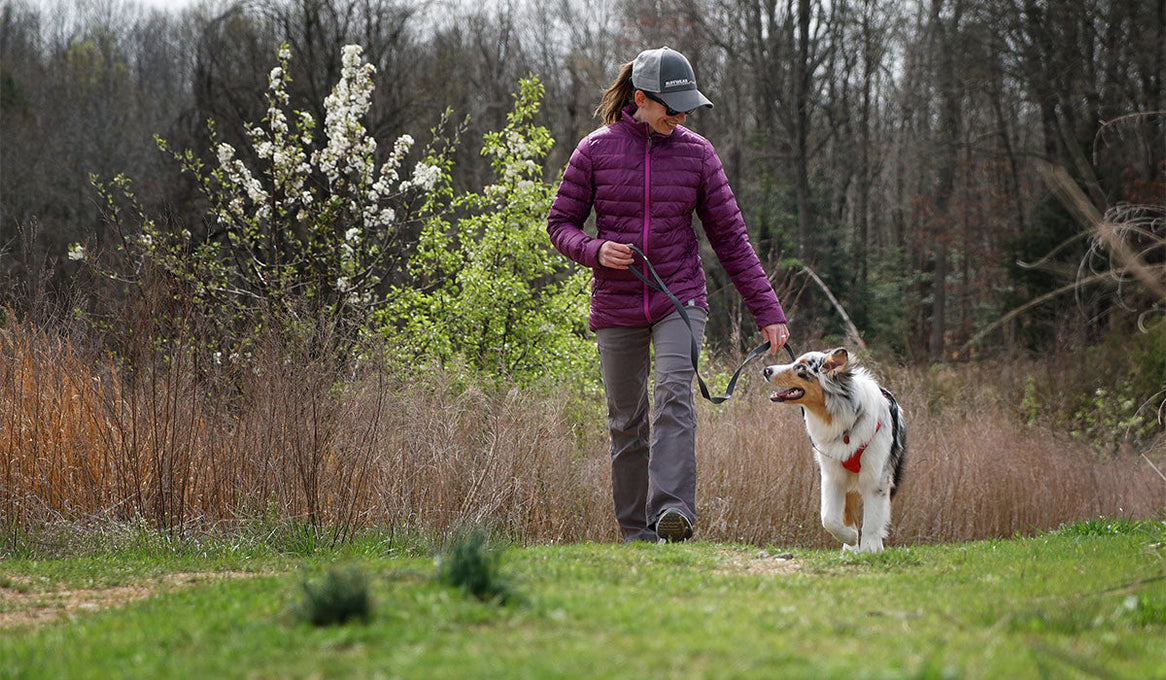 How to Train an Adventure Puppy