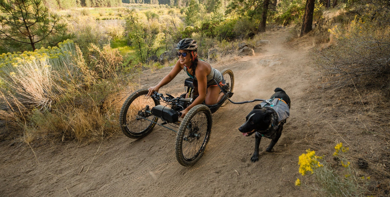My Dog is My Sidecar