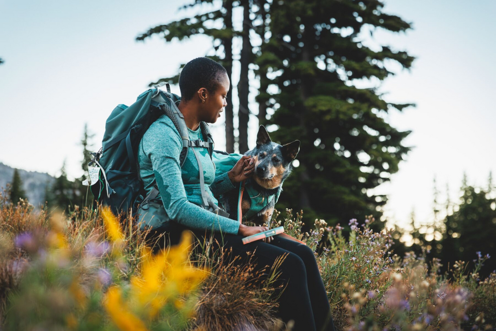 How to Backpack With Your Dog