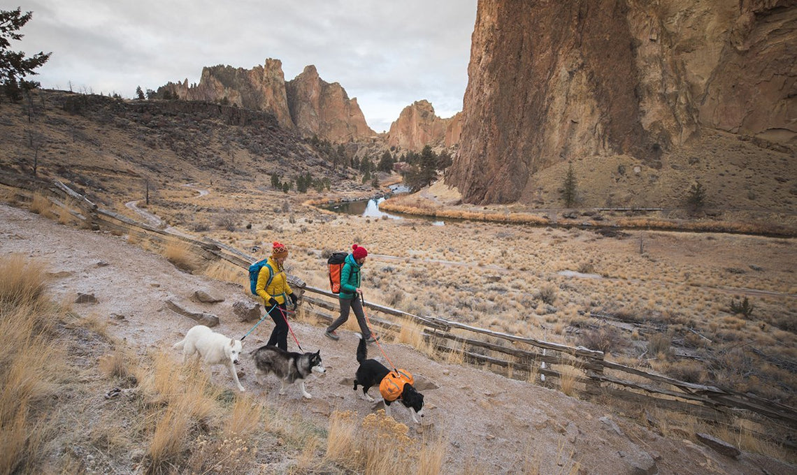 How to Be a Crag Dog: Climbing with Dogs