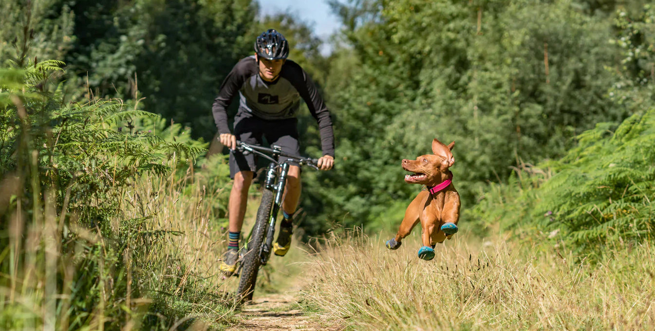 Waypoints: Tom & Ruby
