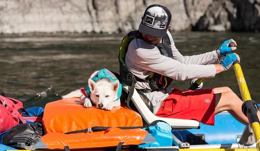 Teaching Tala To Love The Water