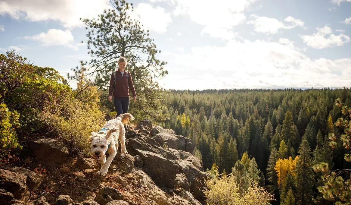 How To Hike With Your Dog