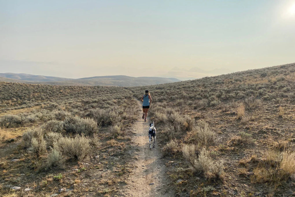 How To Run With Your Dog