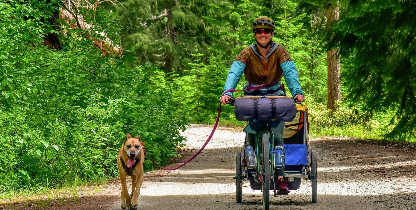 5 Tips for Mountain Biking With Your Dog