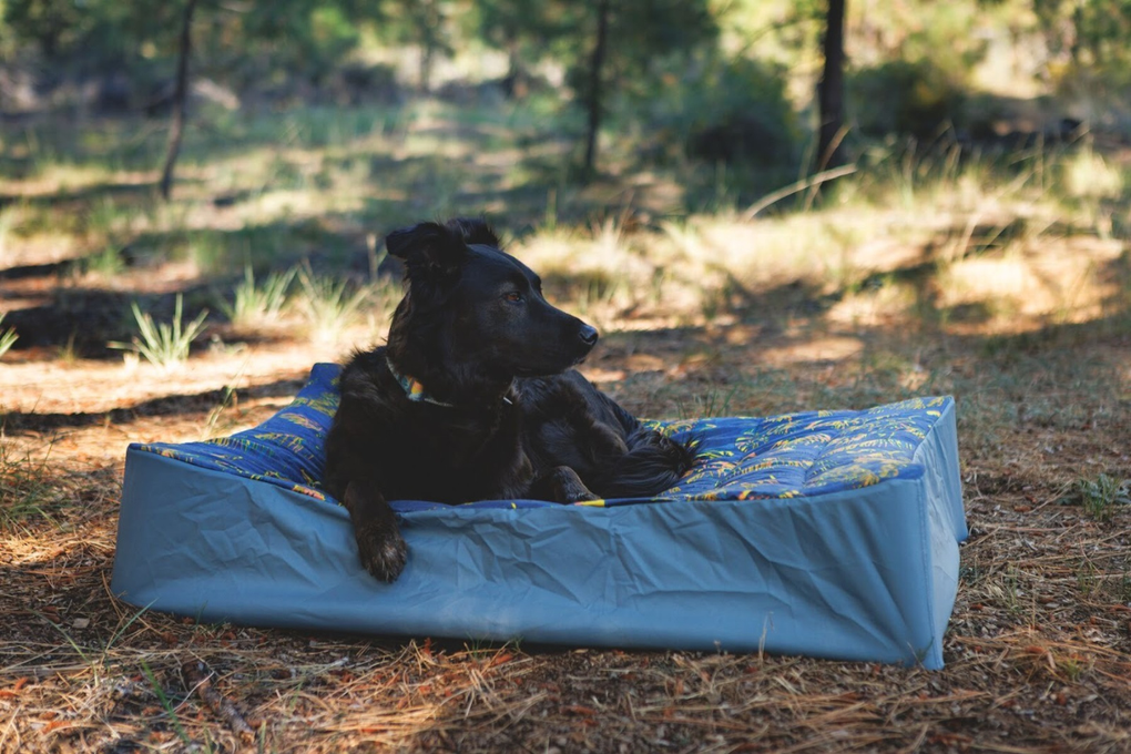 Behind the Design of the Mt EverRest™ Dog Bed & Cot Cover
