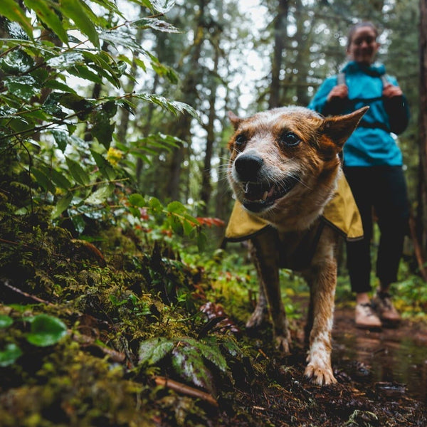 Minimize the Mess: Staying Dry During Mud Season