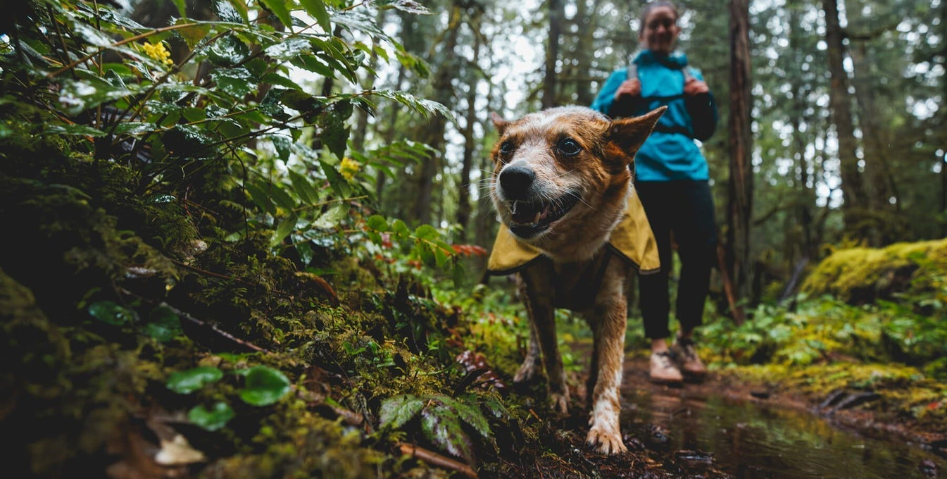 Minimize the Mess: Staying Dry During Mud Season
