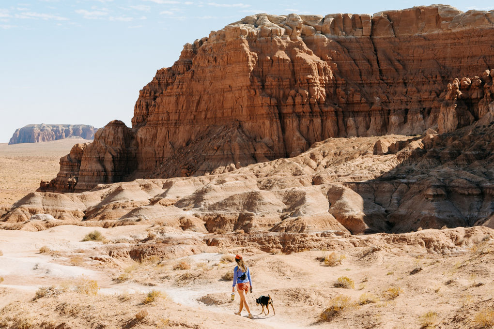 Wandering With Willow: 4 Dog-Friendly National Parks to Explore