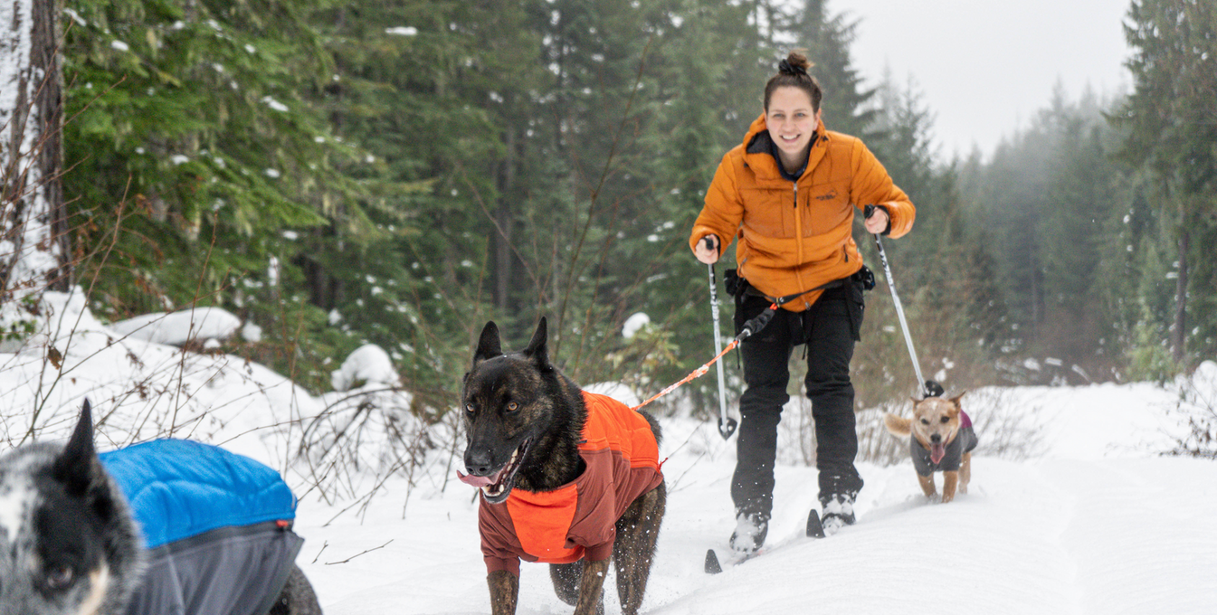 The Scoop: Tips & Gear Hacks for Getting Outside with Your Dog This Winter
