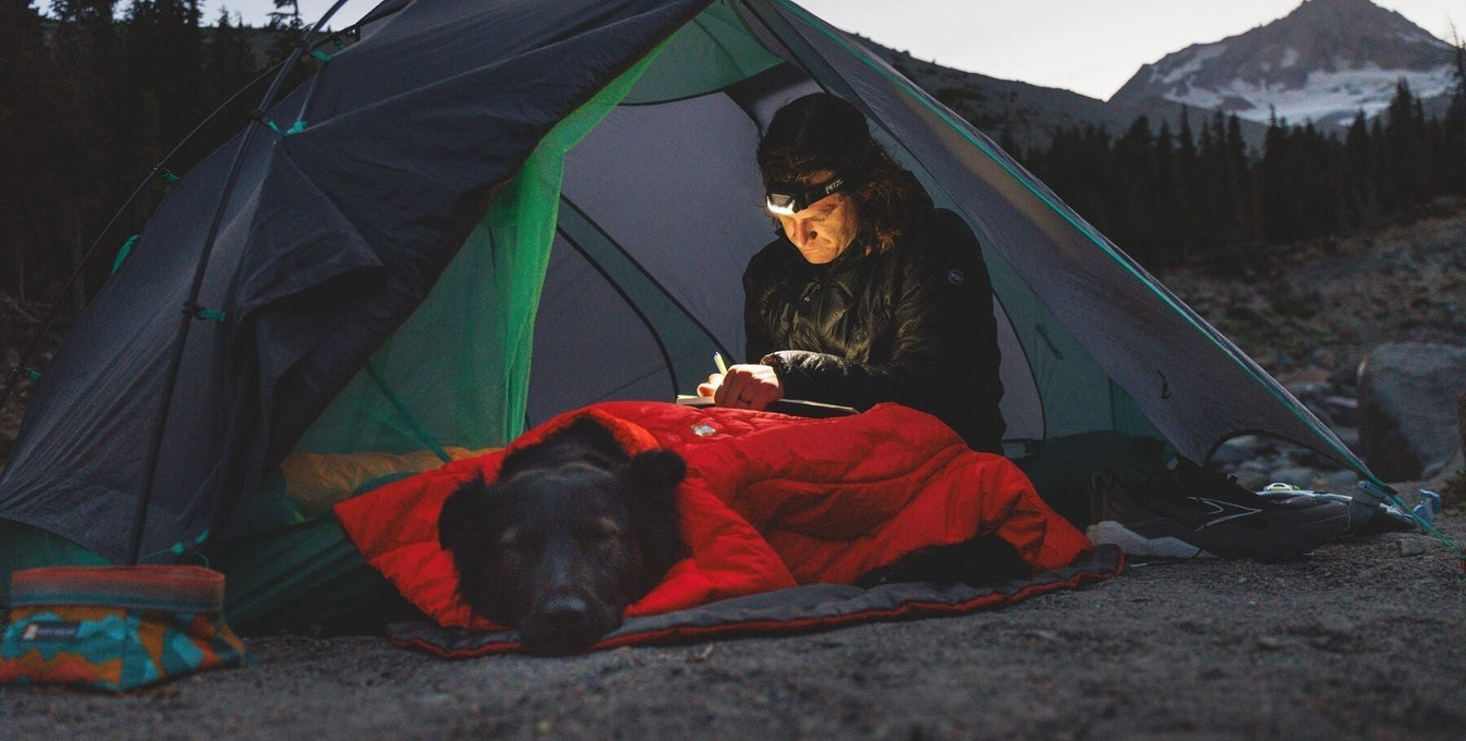 How To Camp With Your Dog