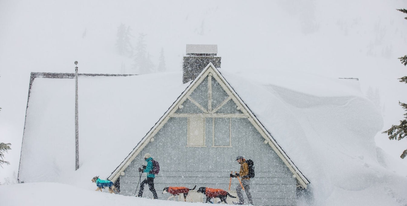 Preventing Snowballs – The Ruffwear Way