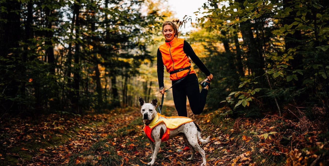 High-Visibility Dog Gear for Fall & Winter