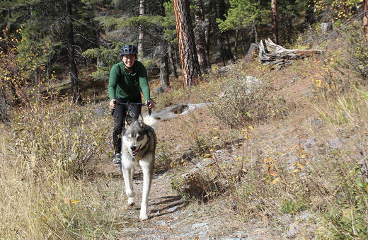 Discovering Bikejoring Together