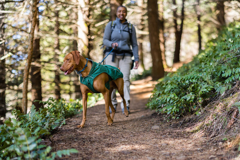 How To Find Dog-Friendly Trails