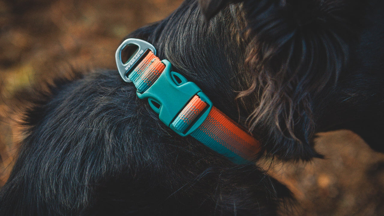 Durable Buckle