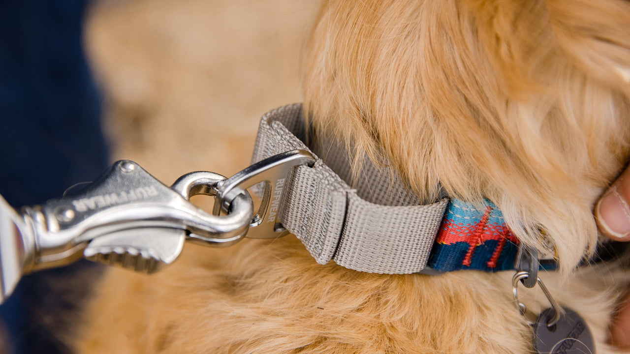 Martingale Design