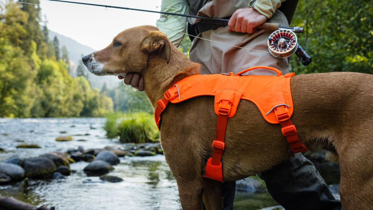 Three-Strap Style Harness