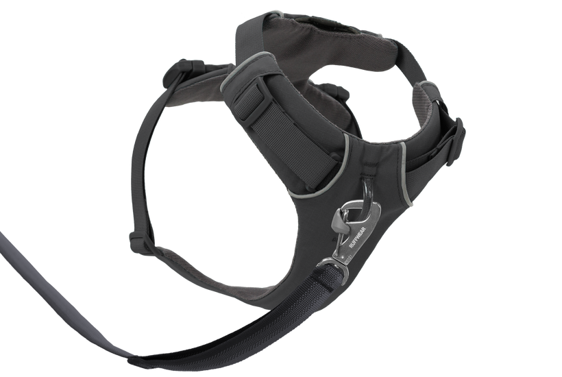 Basalt Gray
