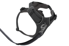 Basalt Gray