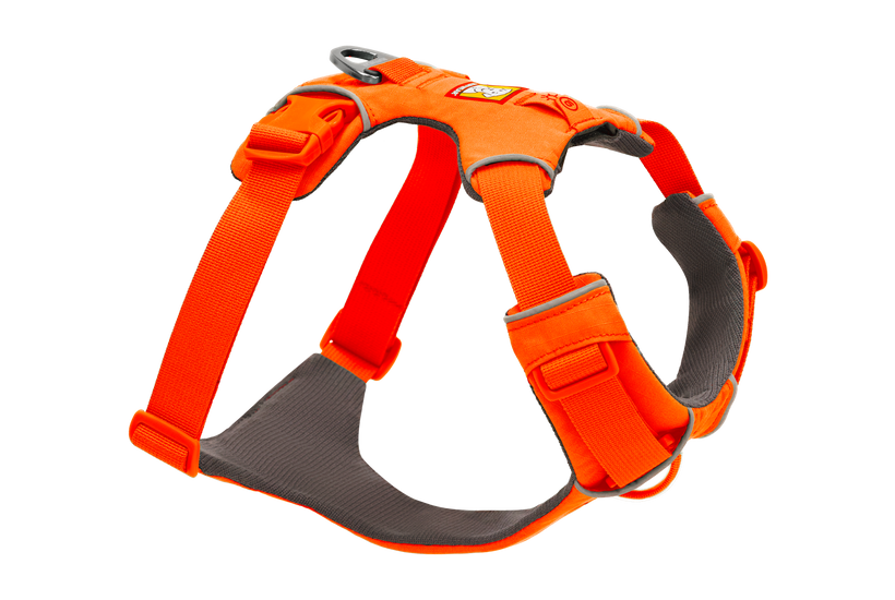 Blaze Orange