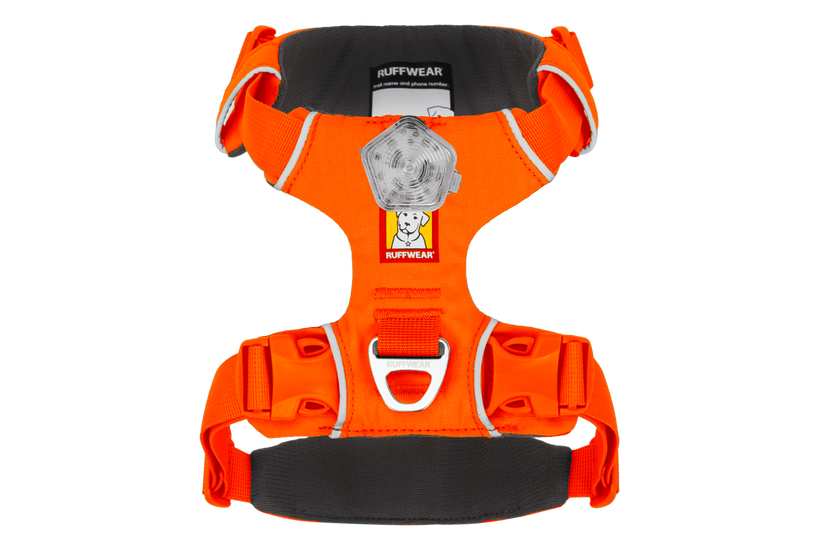 Blaze Orange
