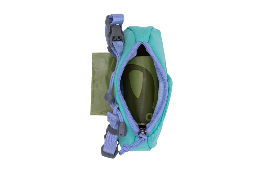 Aurora Teal