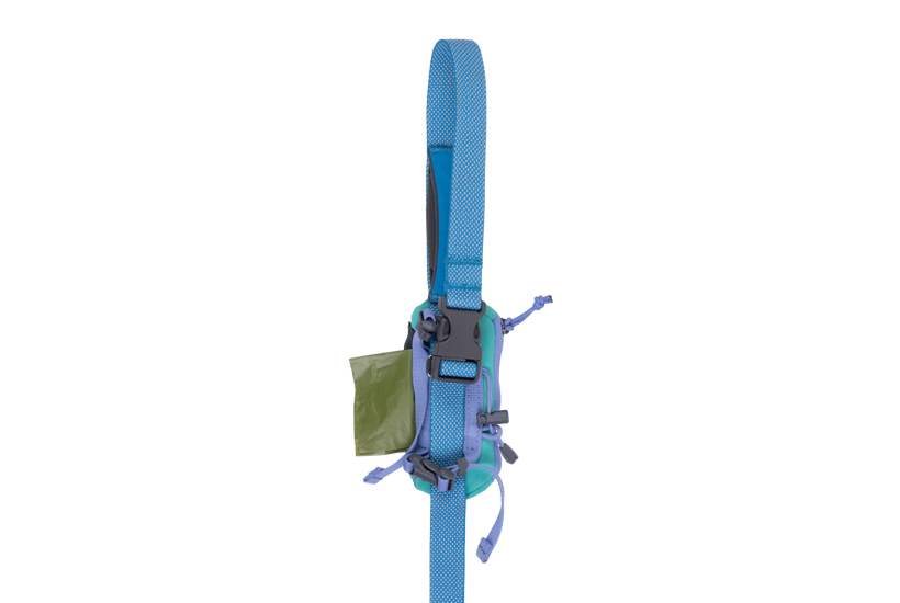 Aurora Teal