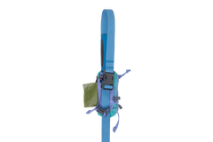 Aurora Teal