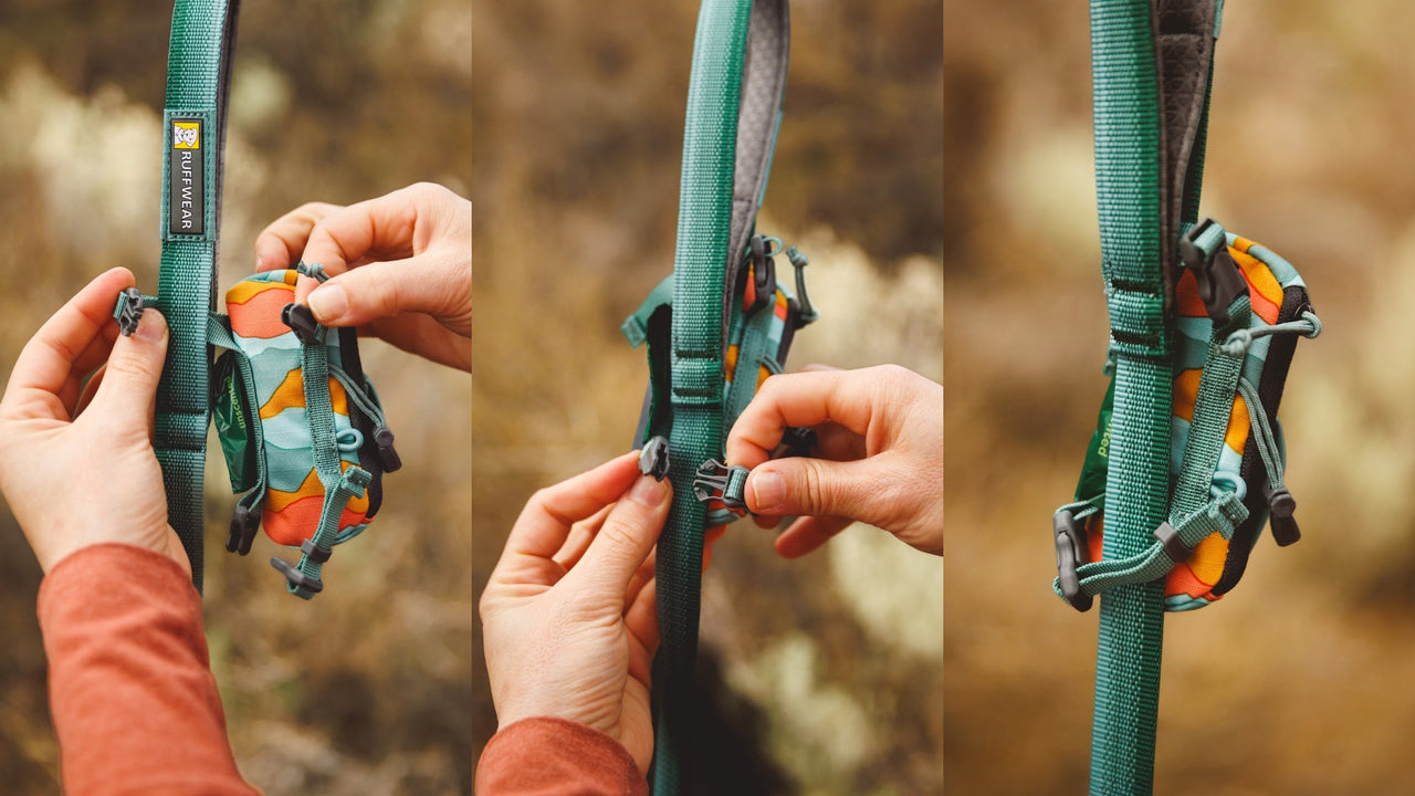 Attaches to Leash
