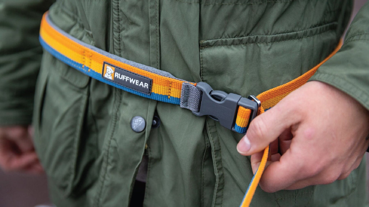 Hand-Held or Hands-Free