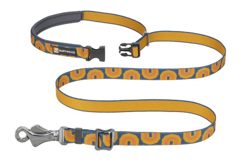 Canyon Oxbow