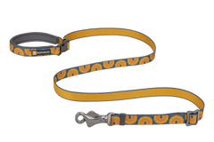 Canyon Oxbow