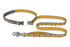 Canyon Oxbow