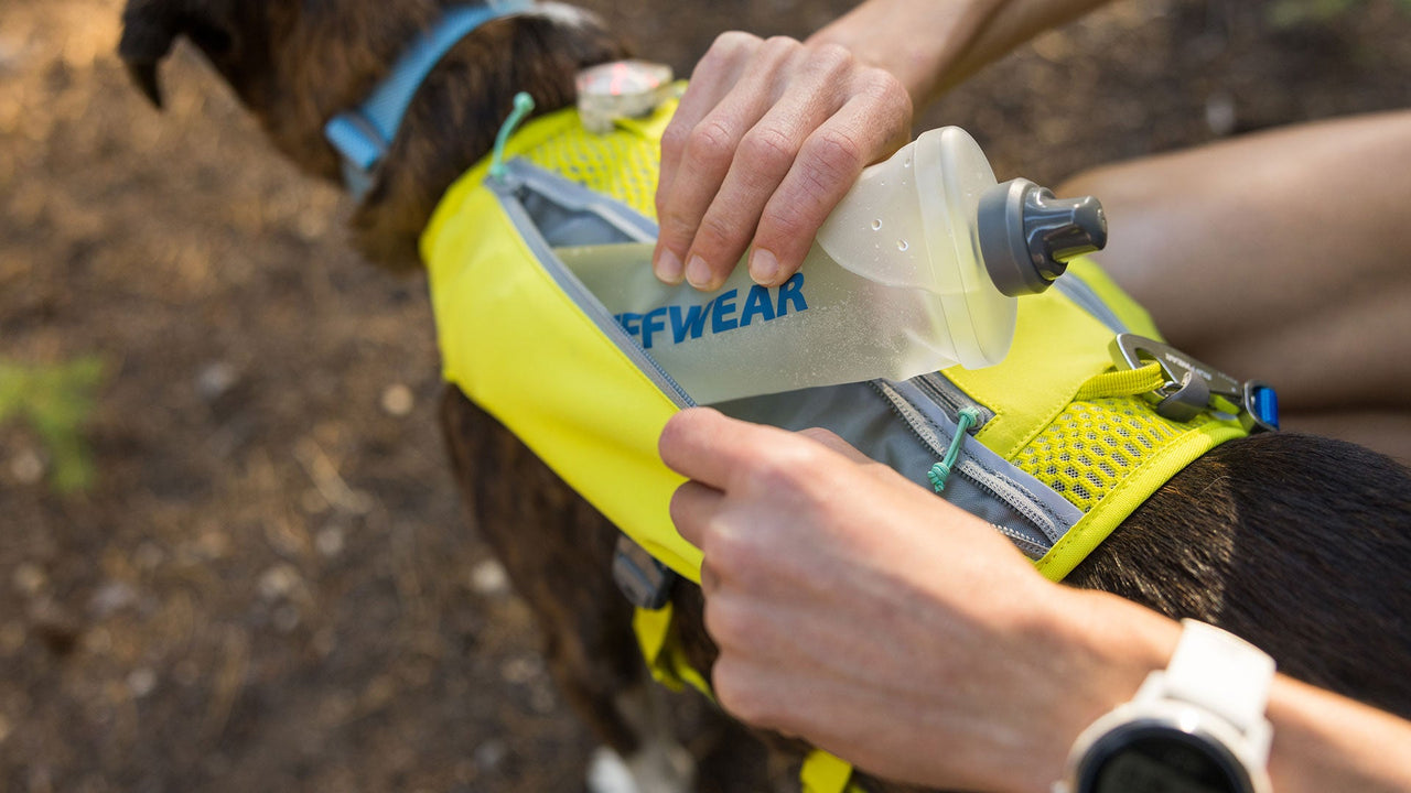 Carry Hydration & Essentials