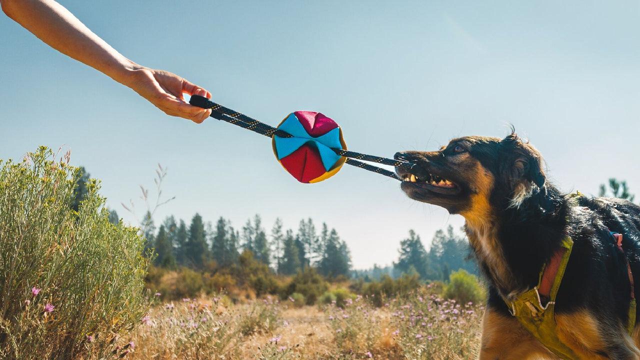Engaging Tug & Toss