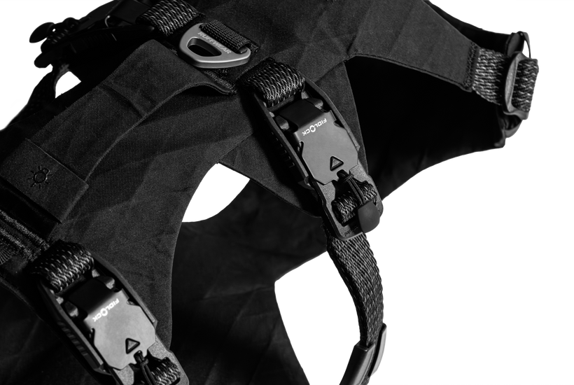 Obsidian Black