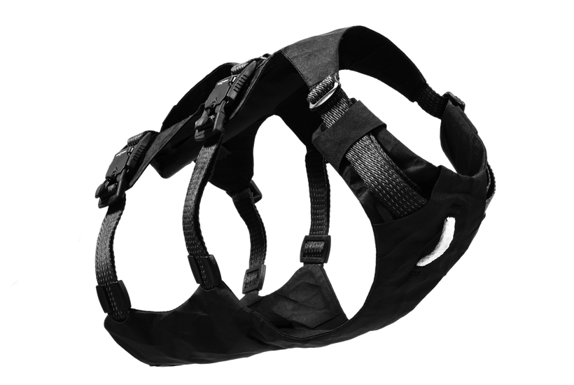Obsidian Black