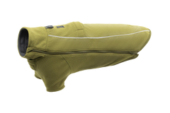Cedar Green