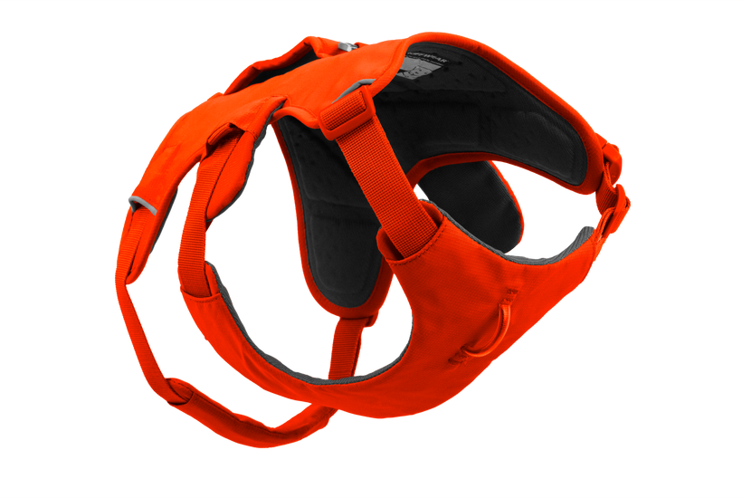 Blaze Orange