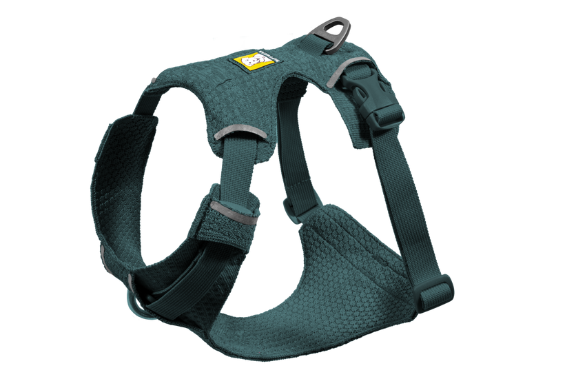 Deep Teal