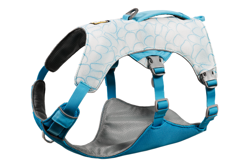 Biolumin Blue