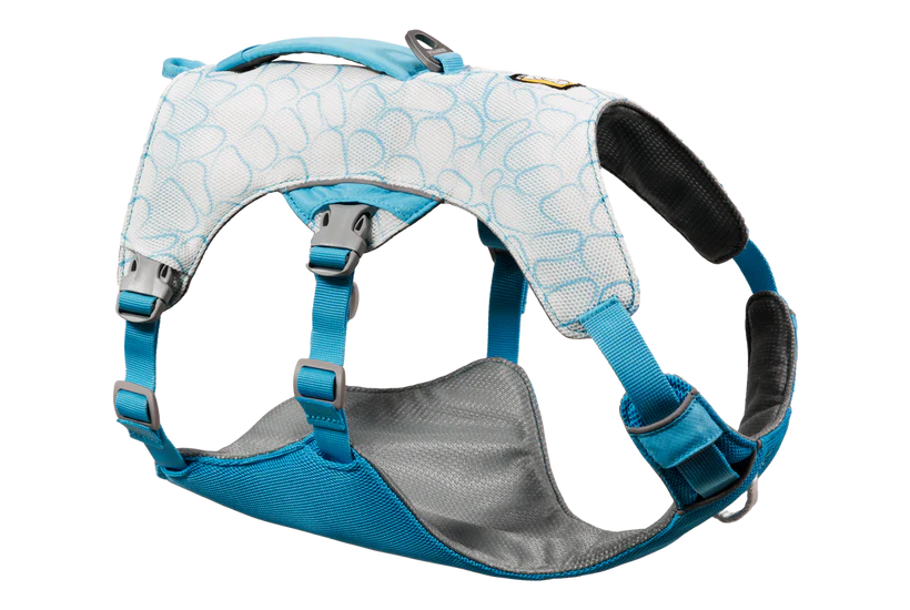 Biolumin Blue
