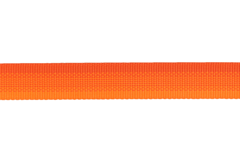 Blaze Orange