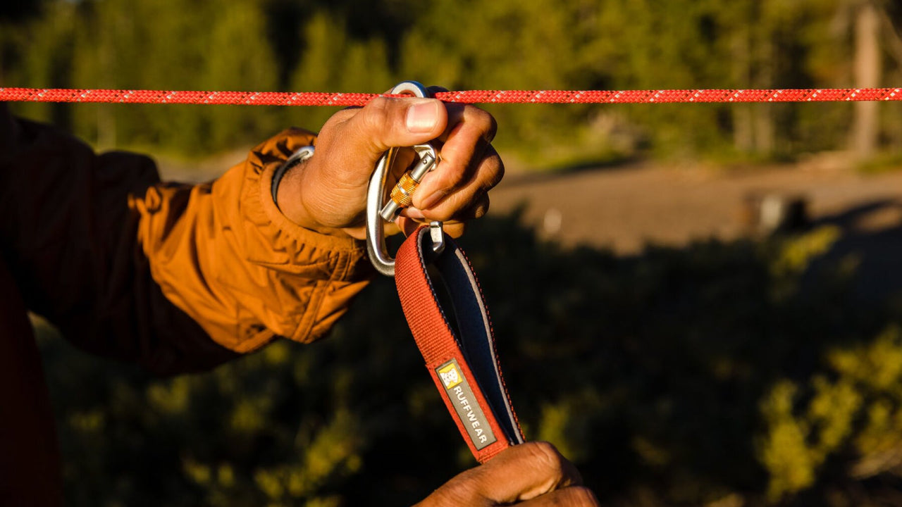 Swiveling Carabiner 