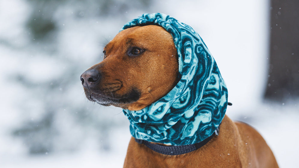 About the Mt. Hoodie™ Neck Gaiter Video Thumbnail