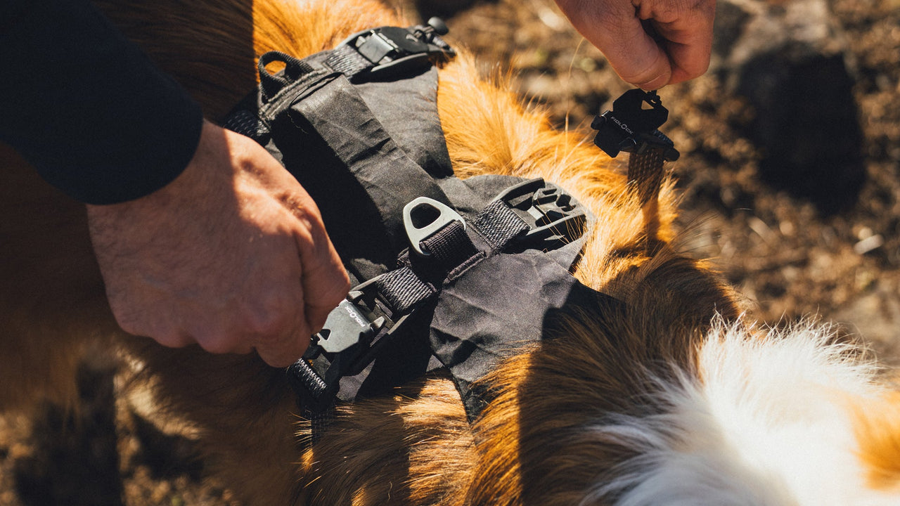Fidlock® Magnetic Buckles