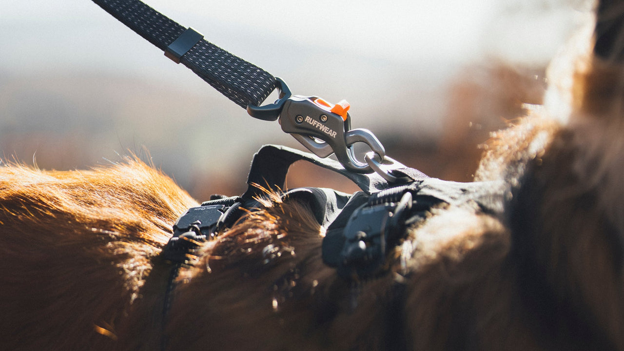 Swiveling, Auto-locking Talon Clip™